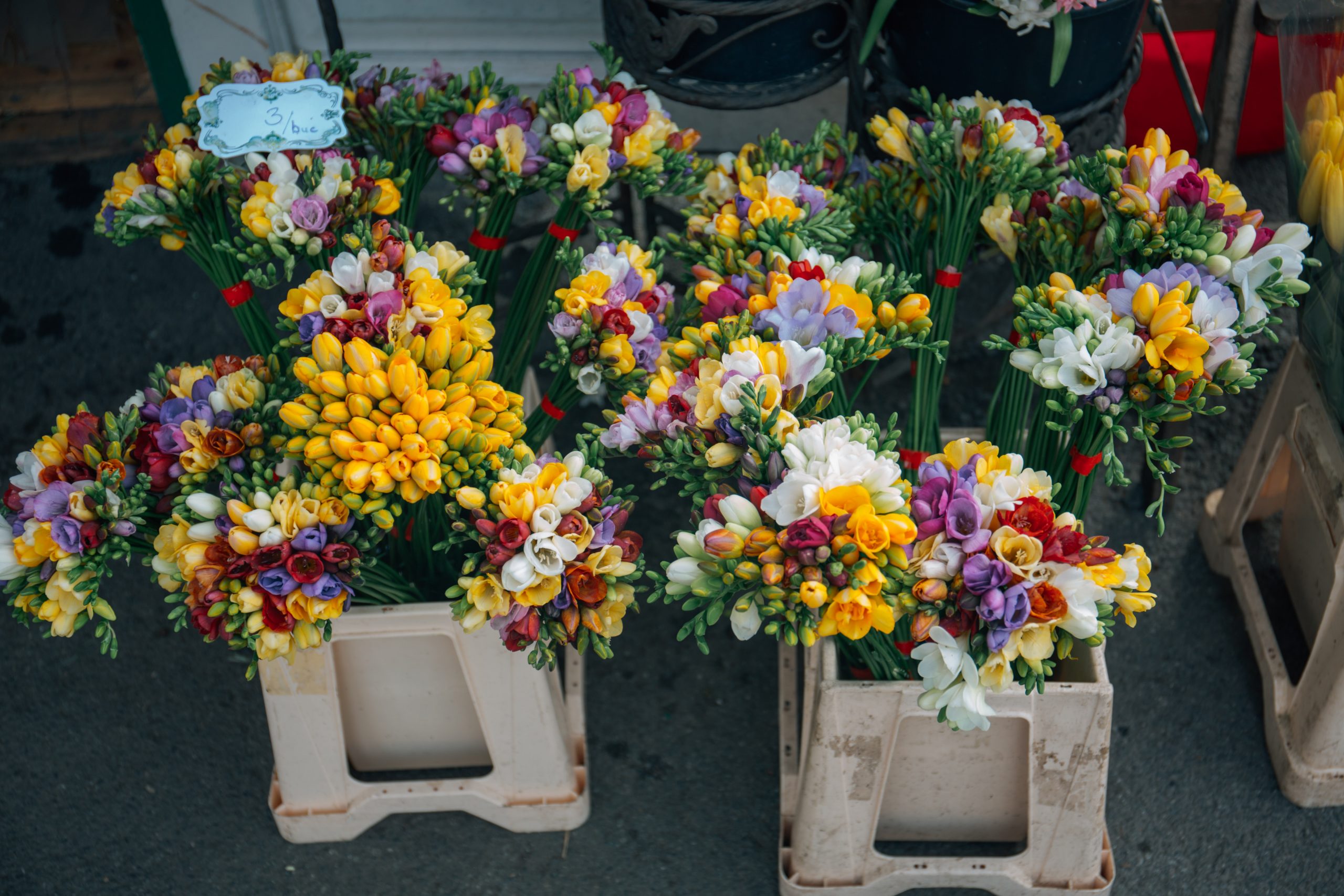 logistica dei fiori